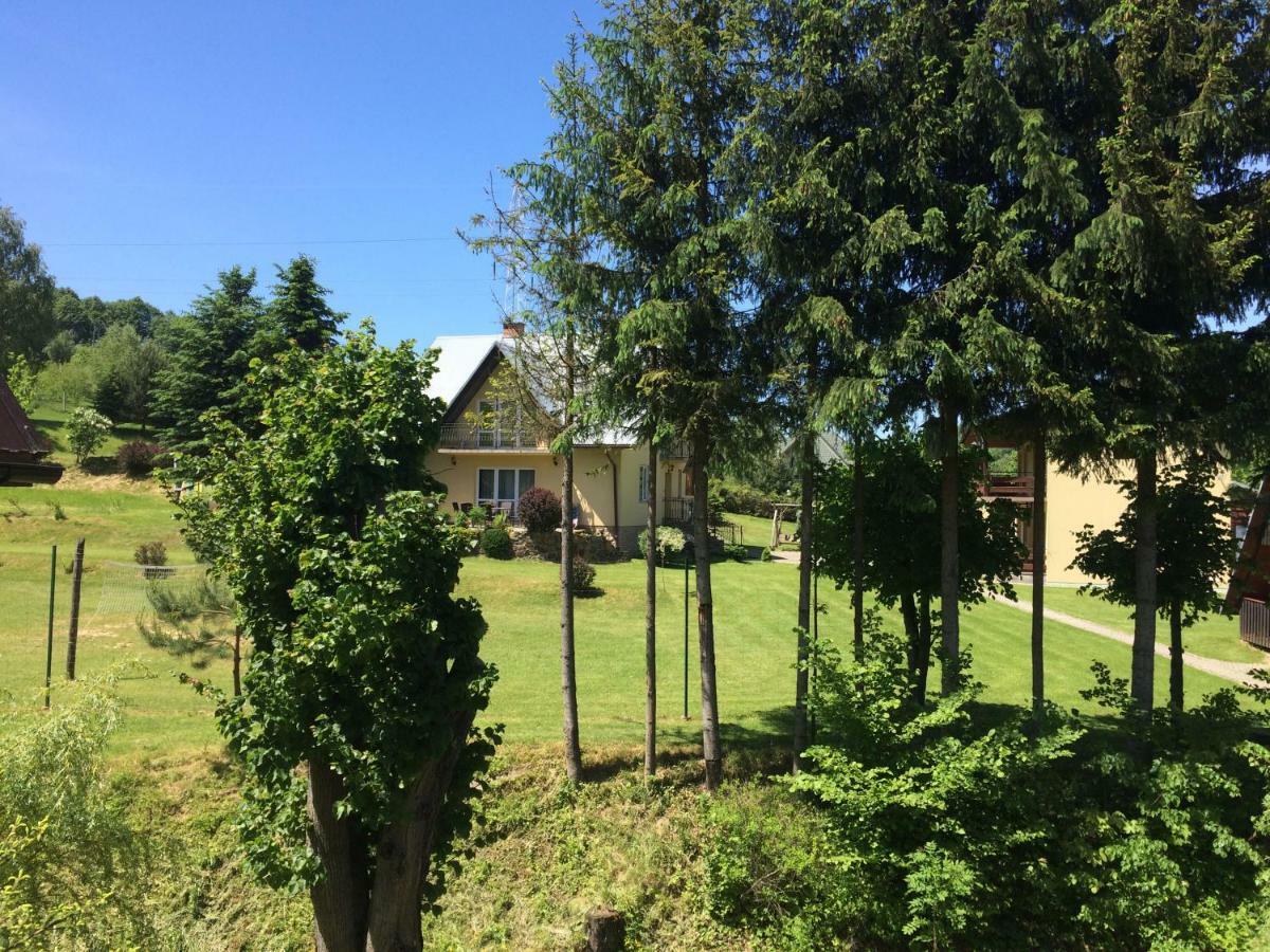 Villa Za Potokiem à Solina  Extérieur photo